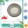 TGY Suministro Polvo natural de capsaicina natural 99% Capsaicina